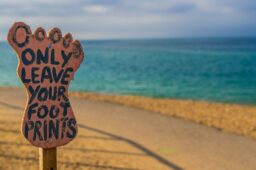 Building Robust Sustainability Strategies: Aligning ISSB and CSRD in a Shifting Landscape