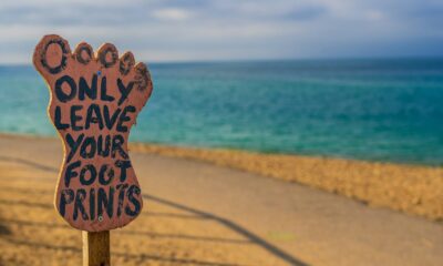 Building Robust Sustainability Strategies: Aligning ISSB and CSRD in a Shifting Landscape