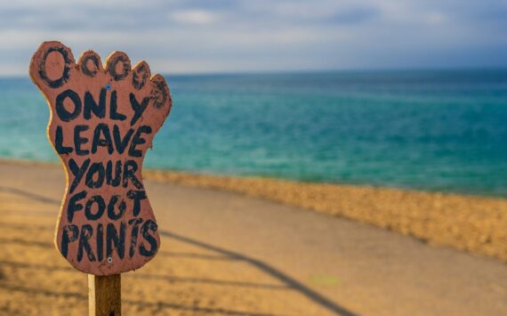 Building Robust Sustainability Strategies: Aligning ISSB and CSRD in a Shifting Landscape