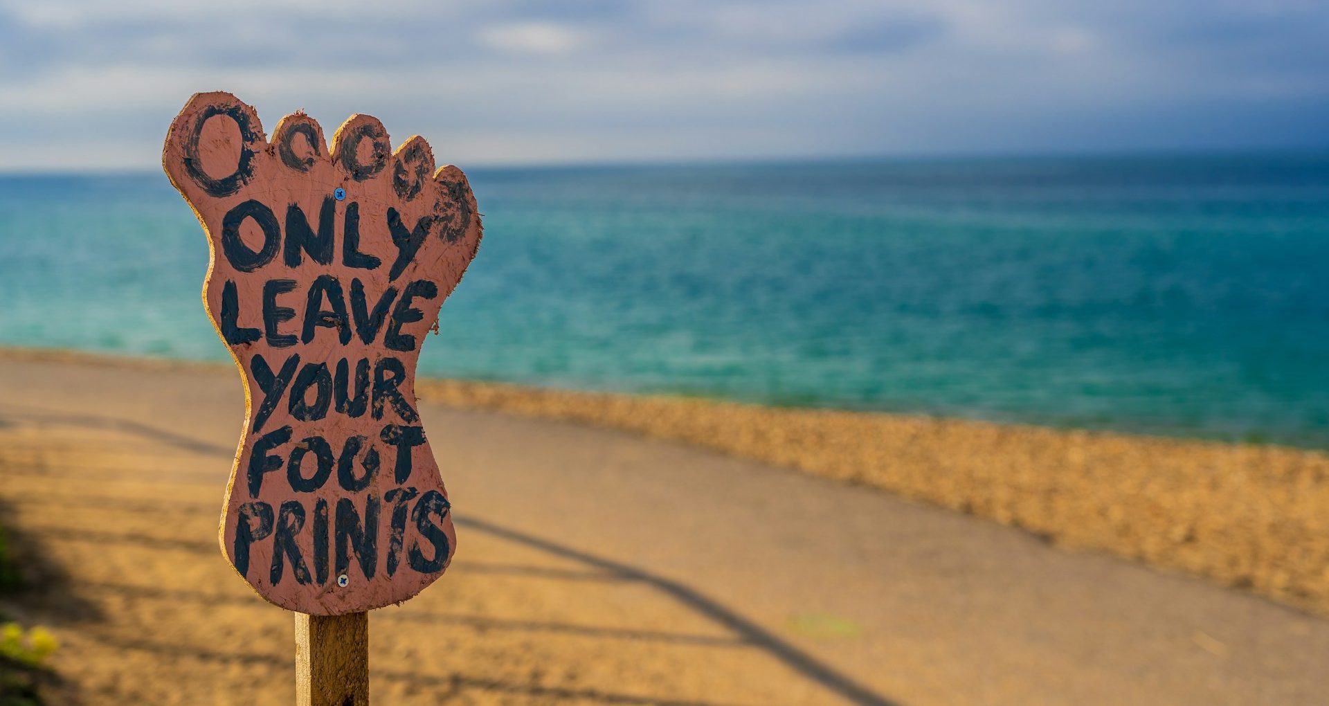 Building Robust Sustainability Strategies: Aligning ISSB and CSRD in a Shifting Landscape